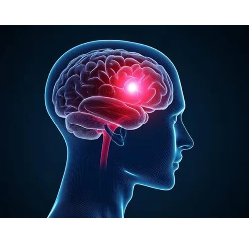 CogniStrong  Official website